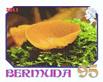 Briefmarke