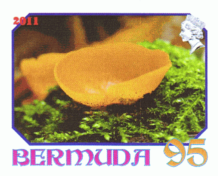 Briefmarke