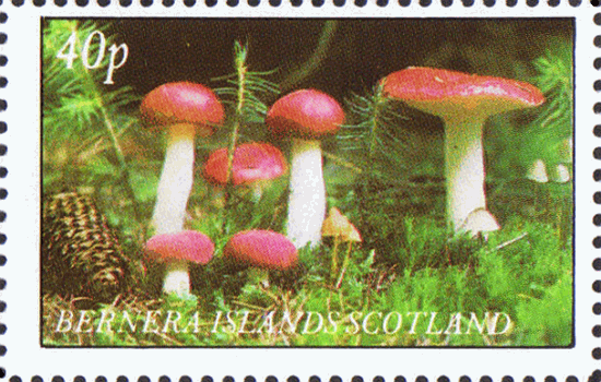 Briefmarke