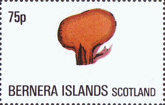 Briefmarke