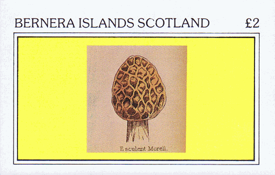 Briefmarke