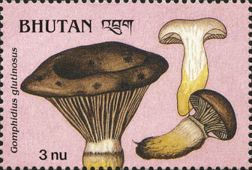 Briefmarke