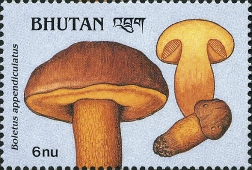 Briefmarke
