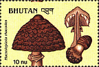 Briefmarke