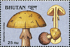 Briefmarke