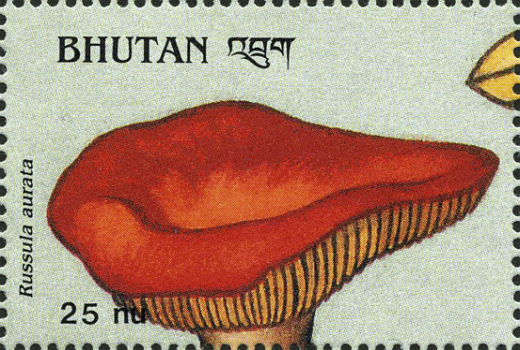 Briefmarke