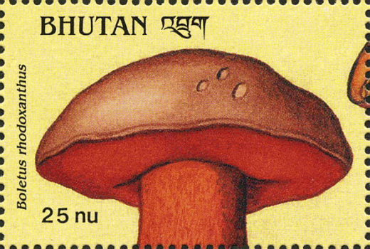 Briefmarke