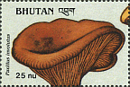 Briefmarke