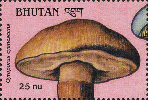 Briefmarke
