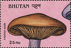 Briefmarke