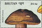 Briefmarke