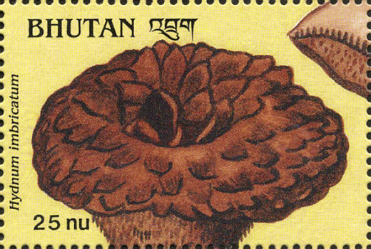 Briefmarke