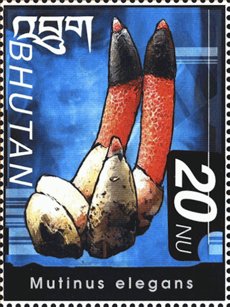 Briefmarke