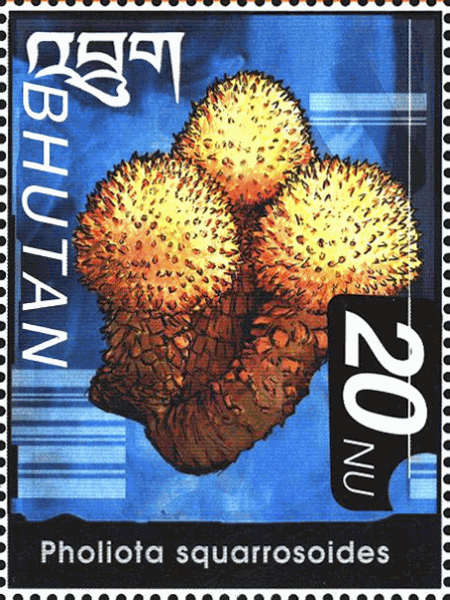 Briefmarke