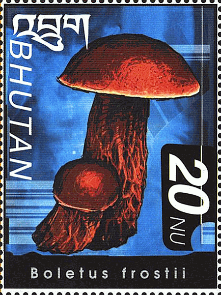 Briefmarke