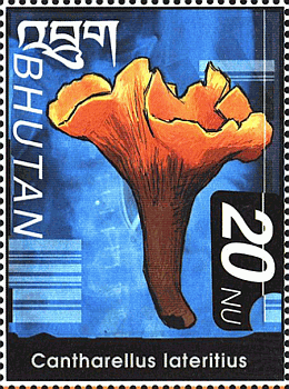 Briefmarke