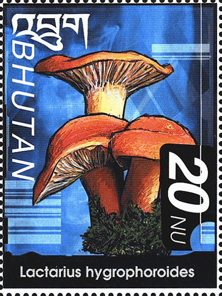 Briefmarke