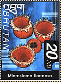 Briefmarke