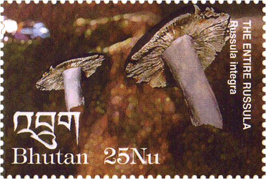 Briefmarke