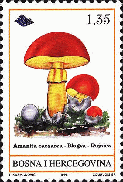 Briefmarke