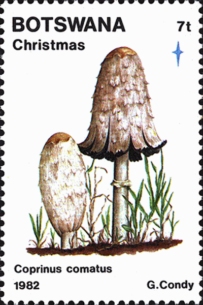 Briefmarke