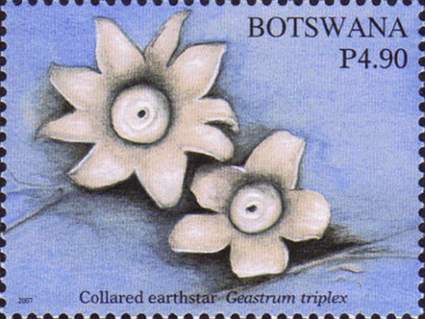 Briefmarke