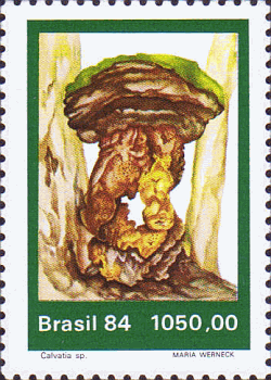 Briefmarke