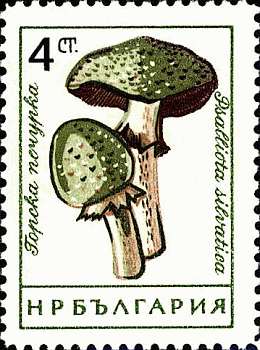 Briefmarke