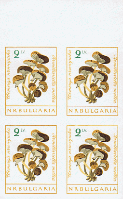 Zusammendruck