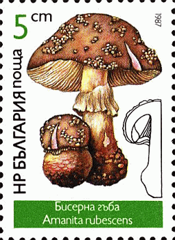 Briefmarke