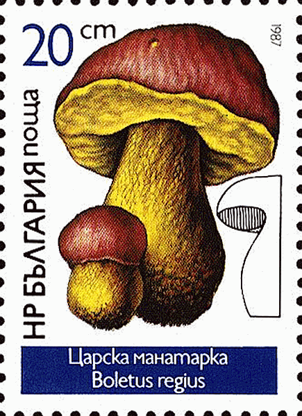 Briefmarke
