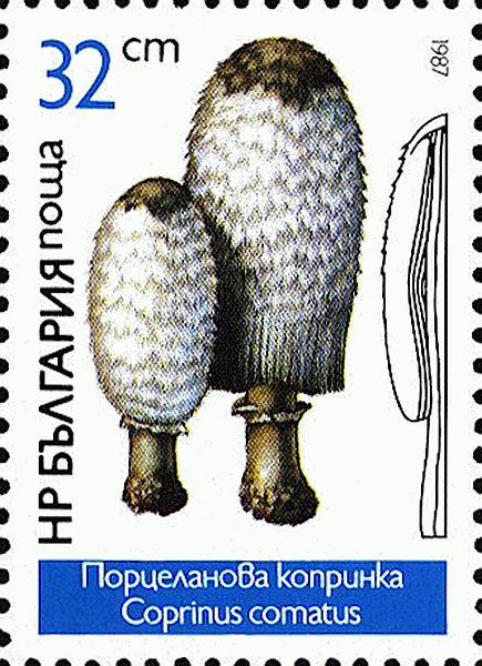 Briefmarke
