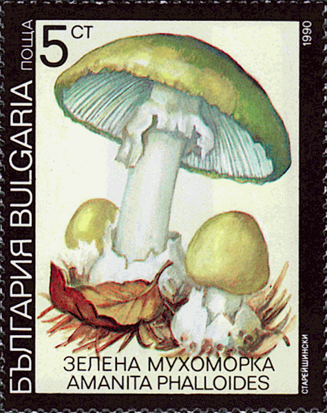 Briefmarke
