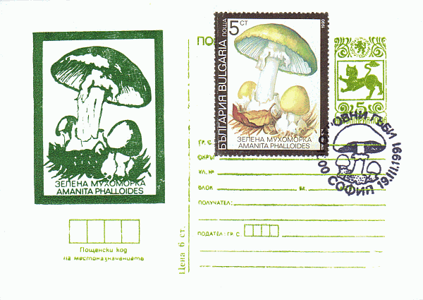 Bildgpostkarte