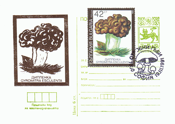 Bildgpostkarte