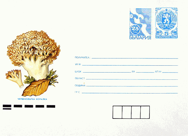 Ganzsachenumschlag