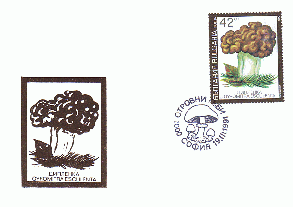 Sonderbriefumschlag