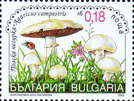 Briefmarke