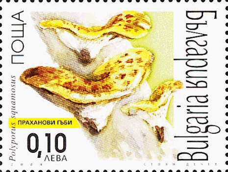 Briefmarke