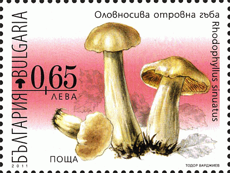 Briefmarke