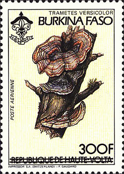 Briefmarke
