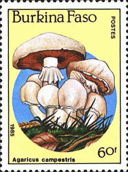 Briefmarke