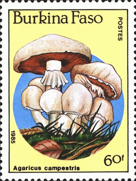 Briefmarke