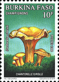 Briefmarke