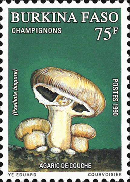 Briefmarke