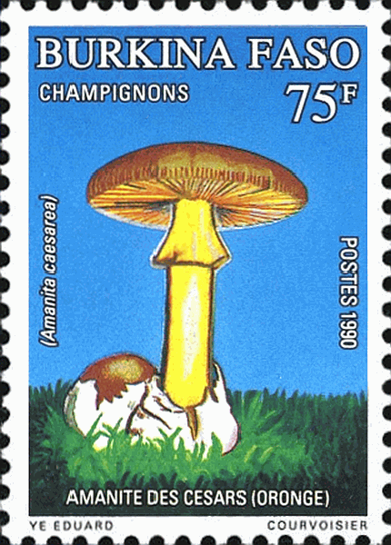 Briefmarke