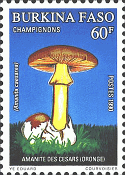 Briefmarke