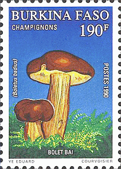 Briefmarke