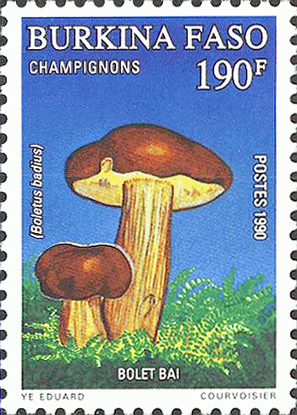 Briefmarke