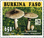 Briefmarke